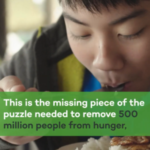 Companies pledge millions to end hunger in the world by 2030 as part of the Zero Hunger Private Sector Pledge