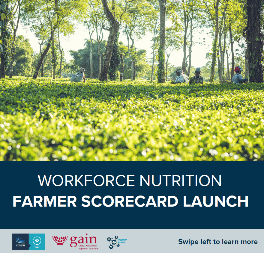 Smallholder Farmer Scorecard Launch